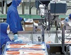 Fish Packing Centre